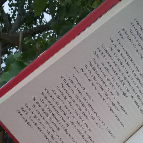 13510829_1038571989560364_3491737555623208972_n